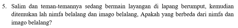 5. Salim dan teman-temannya sedang bermain layangan di lapang berumput, kemudian ditemukan lah nimfa belalang dan imago belalang, Apakah yang berbeda dari nimfa dan imago belalang? 
