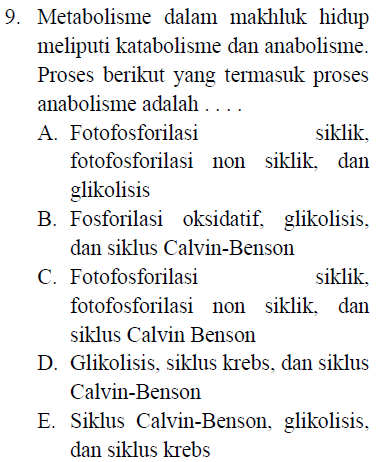 9. Metabolisme dalam makhluk hidup meliputi katabolisme dan anabolisme. Proses berikut yang termasuk proses anabolisme adalah .. A. Fotofosforilasi siklik, fotofosforilasi non siklik, dan glikolisis B. Fosforilasi oksidatif, glikolisis, dan siklus Calvin-Benson C. Fotofosforilasi siklik, fotofosforilasi non siklik, dan siklus Calvin Benson D. Glikolisis, siklus krebs, dan siklus Calvin-Benson E. Siklus Calvin-Benson, glikolisis, dan siklus krebs 