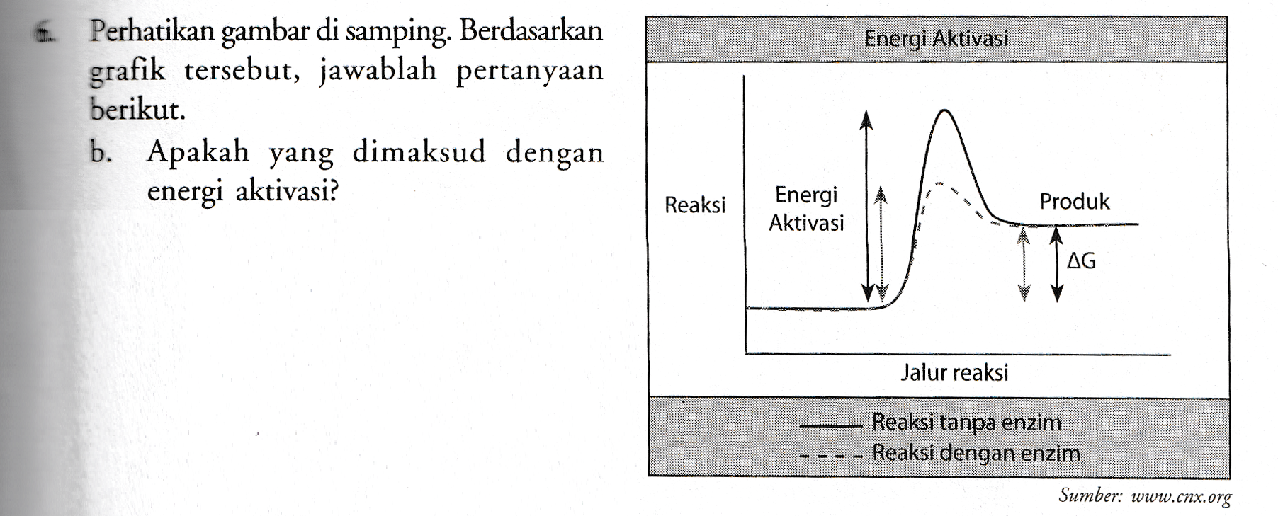 Energi Aktivasi 6. Perhatikan gambar di samping. Berdasarkan grafik tersebut, jawablah pertanyaan berikut. b. Apakah yang dimaksud dengan energi aktivasi? Reaksi Energi Aktivasi Produk AG Jalur reaksi Reaksi tanpa enzim Reaksi dengan enzim ASS Sumber: www.cnx.org 