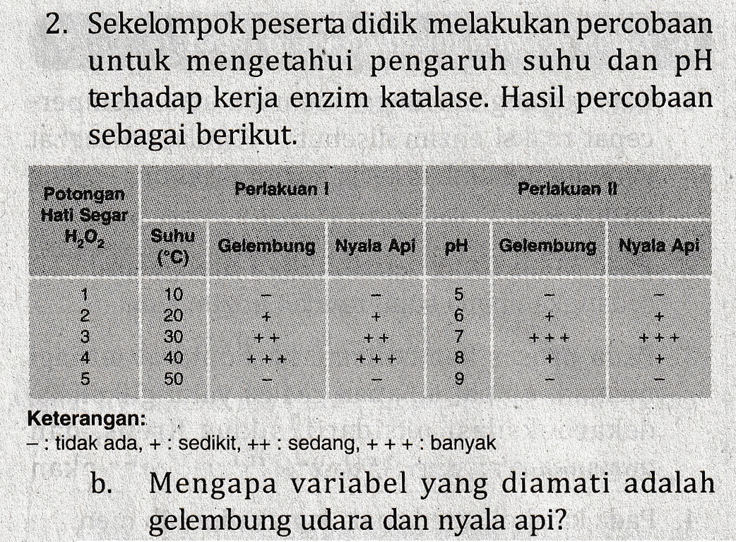 2. Sekelompok peserta didik melakukan percobaan untuk mengetahui pengaruh suhu dan pH terhadap kerja enzim katalase. Hasil percobaan sebagai berikut Perlakuan I Perlakuan TI Potongan Hati Segar H2O, Suhu Gelembung Nyala Api Gelembung Nyala Api . MS SED 10 20 5 6 + 8 6 8 8 it 4 5 Keterangan: : tidak ada, + : sedikit, ++ : sedang, + + + : banyak b. Mengapa variabel yang diamati adalah gelembung udara dan nyala api? 