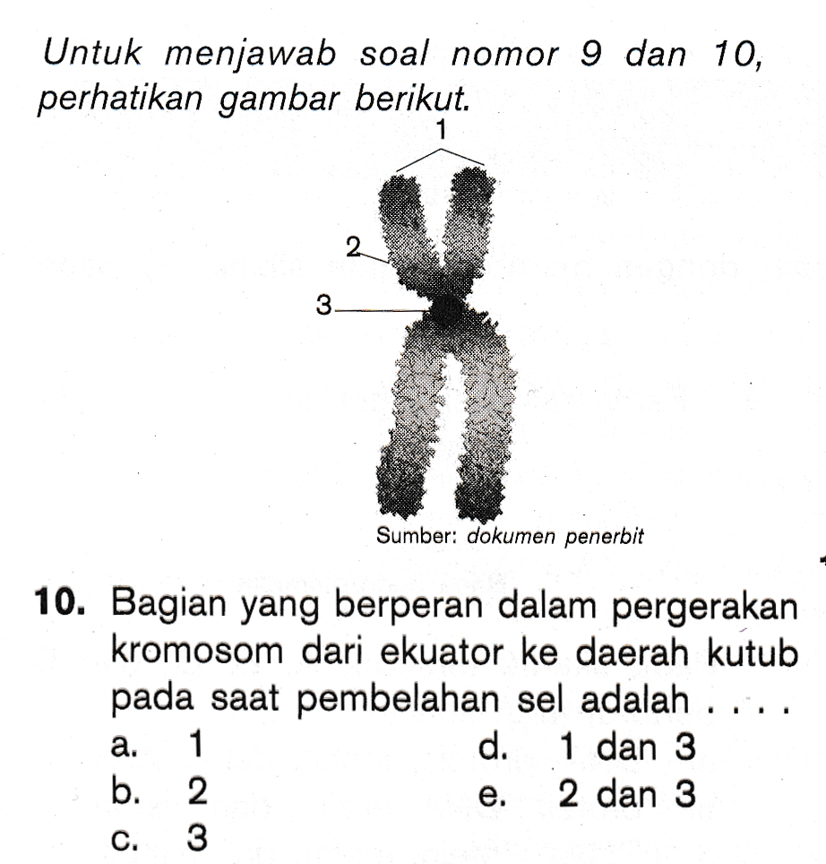 Untuk menjawab soal nomor 9 dan 10, perhatikan gambar berikut. 1 2 3. Sumber: dokumen penerbit 10. Bagian yang berperan dalam pergerakan kromosom dari ekuator ke daerah kutub pada saat pembelahan sel adalah .... 1 d. 1 dan 3 2 2 dan 3 3 a. b. e. C. 