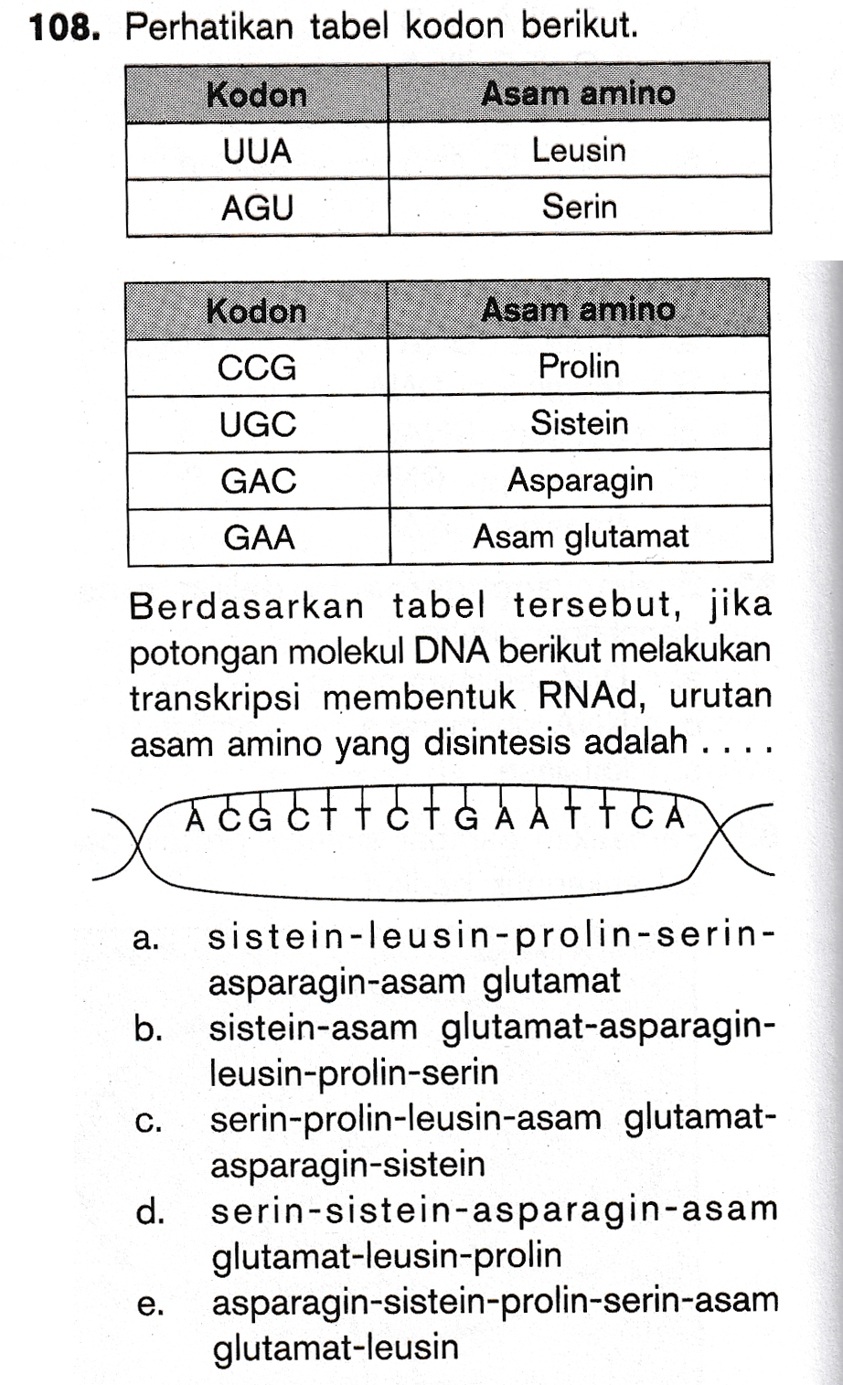 108. Perhatikan tabel kodon berikut. Kodon Asam amino UUA Leusin AGU Serin Kodon Asam amino CCG Prolin UGC Sistein GAC Asparagin GAA Asam glutamat Berdasarkan tabel tersebut, jika potongan molekul DNA berikut melakukan transkripsi membentuk RNAd, urutan asam amino yang disintesis adalah .... ACG EFT CIGAATTEA a. b. C. sistein-leusin-prolin-serin- asparagin-asam glutamat sistein-asam glutamat-asparagin- leusin-prolin-serin serin-prolin-leusin-asam glutamat- asparagin-sistein serin-sistein-asparagin-asam glutamat-leusin-prolin asparagin-sistein-prolin-serin-asam glutamat-leusin d. e. 