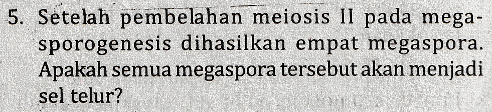 5. Setelah pembelahan meiosis II pada mega- sporogenesis dihasilkan empat megaspora. Apakah semua megaspora tersebut akan menjadi sel telur? 