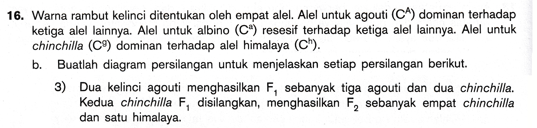 16. Warna rambut kelinci ditentukan oleh empat alel. Alel untuk agouti (CA) dominan terhadap ketiga alel lainnya. Alel untuk albino (Ca) resesif terhadap ketiga alel lainnya. Alel untuk chinchilla (C9) dominan terhadap alel himalaya (ch). b. Buatlah diagram persilangan untuk menjelaskan setiap persilangan berikut. 3) Dua kelinci agouti menghasilkan F, sebanyak tiga agouti dan dua chinchilla. Kedua chinchilla F, disilangkan, menghasilkan F, sebanyak empat chinchilla dan satu himalaya. 