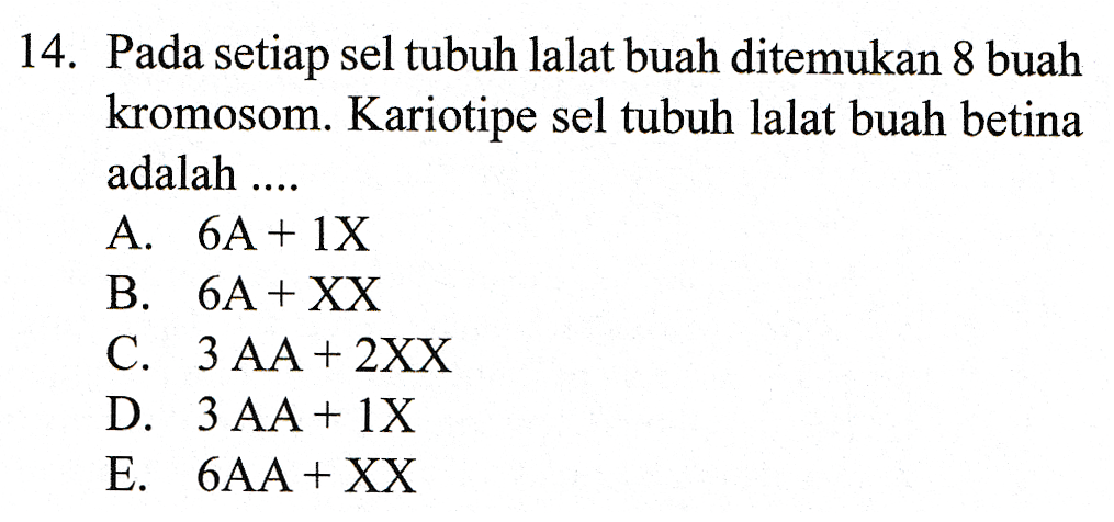 14. Pada setiap sel tubuh lalat buah ditemukan 8 buah kromosom. Kariotipe sel tubuh lalat buah betina adalah .... A. 6A + 1X B. 6A + XX C. 3 AA + 2XX D. 3 AA + 1X E. 6AA + XX 