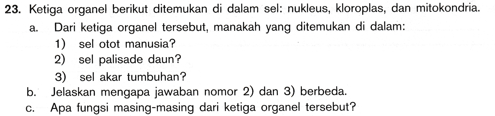 a. 23. Ketiga organel berikut ditemukan di dalam sel: nukleus, kloroplas, dan mitokondria. Dari ketiga organel tersebut, manakah yang ditemukan di dalam: 1) sel otot manusia? 2) sel palisade daun? 3) sel akar tumbuhan? b. Jelaskan mengapa jawaban nomor 2) dan 3) berbeda. C. Apa fungsi masing-masing dari ketiga organel tersebut? 