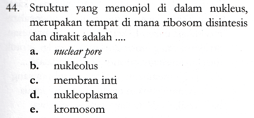 44. Struktur yang menonjol di dalam nukleus, merupakan tempat di mana ribosom disintesis dan dirakit adalah .... nuclear pore b. nukleolus a. C. membran inti d. nukleoplasma kromosom e. 