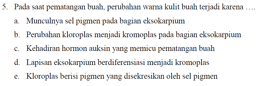 5. Pada saat pematangan buah, perubahan warna kulit buah terjadi karena .... a. Munculnya sel pigmen pada bagian eksokarpium b. Perubahan kloroplas menjadi kromoplas pada bagian eksokarpium c. Kehadiran hormon auksin yang memicu pematangan buah d. Lapisan eksokarpium berdiferensiasi menjadi kromoplas e. Kloroplas berisi pigmen yang disekresikan oleh sel pigmen 