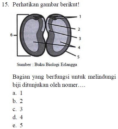 15. Perhatikan gambar berikut! 2 6 Sumber : Buku Biologi Erlangga Bagian yang berfungsi untuk melindungi biji ditunjukan oleh nomer.... a. 1 b. 2 c. 3 d. 4 e. 5 