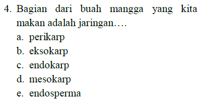4. Bagian dari buah mangga yang kita makan adalah jaringan.... a. perikarp b. eksokarp c. endokarp d. mesokarp e. endosperma 