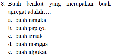 8. Buah berikut yang merupakan buah agregat adalah.... a. buah nangka b. buah papaya c. buah sirsak d. buah mangga e. buah alpukat 