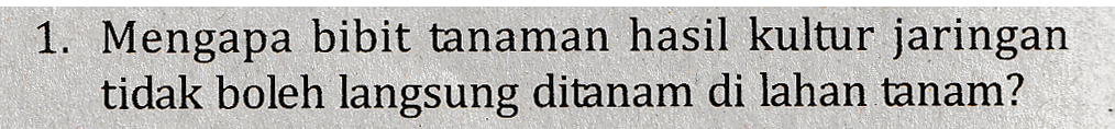 1. Mengapa bibit tanaman hasil kultur jaringan tidak boleh langsung ditanam di lahan tanam? 