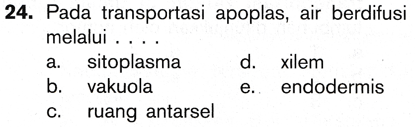 24. Pada transportasi apoplas, air berdifusi melalui .... sitoplasma d. xilem b. vakuola e.. endodermis a. C. ruang antarsel 