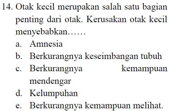 14. Otak kecil merupakan salah satu bagian penting dari otak. Kerusakan otak kecil menyebabkan...... a. Amnesia b. Berkurangnya keseimbangan tubuh C. Berkurangnya kemampuan mendengar d. Kelumpuhan e. Berkurangnya kemampuan melihat. 