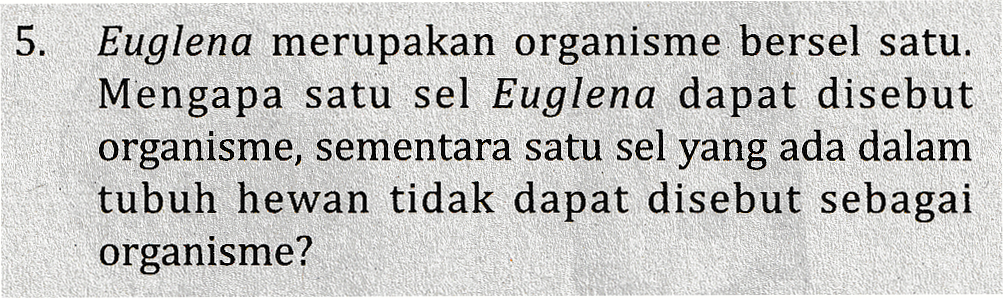 5. Euglena merupakan organisme bersel satu. Mengapa satu sel Euglena dapat disebut organisme, sementara satu sel yang ada dalam tubuh hewan tidak dapat disebut sebagai organisme? 