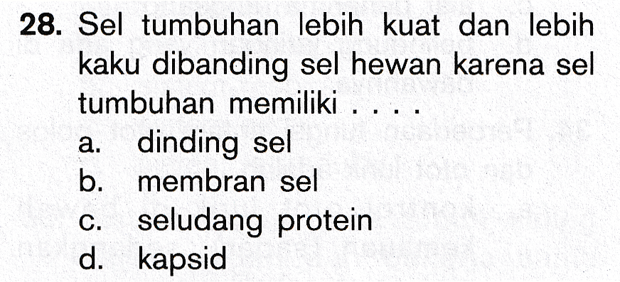 . 1 28. Sel tumbuhan lebih kuat dan lebih kaku dibanding sel hewan karena sel tumbuhan memiliki . a. dinding sel b. membran sel c. seludang protein d. kapsid 