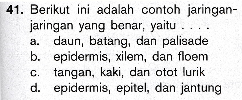 a. 41. Berikut ini adalah contoh jaringan- jaringan yang benar, yaitu daun, batang, dan palisade b. epidermis, xilem, dan floem c. tangan, kaki, dan otot lurik d. epidermis, epitel, dan jantung 