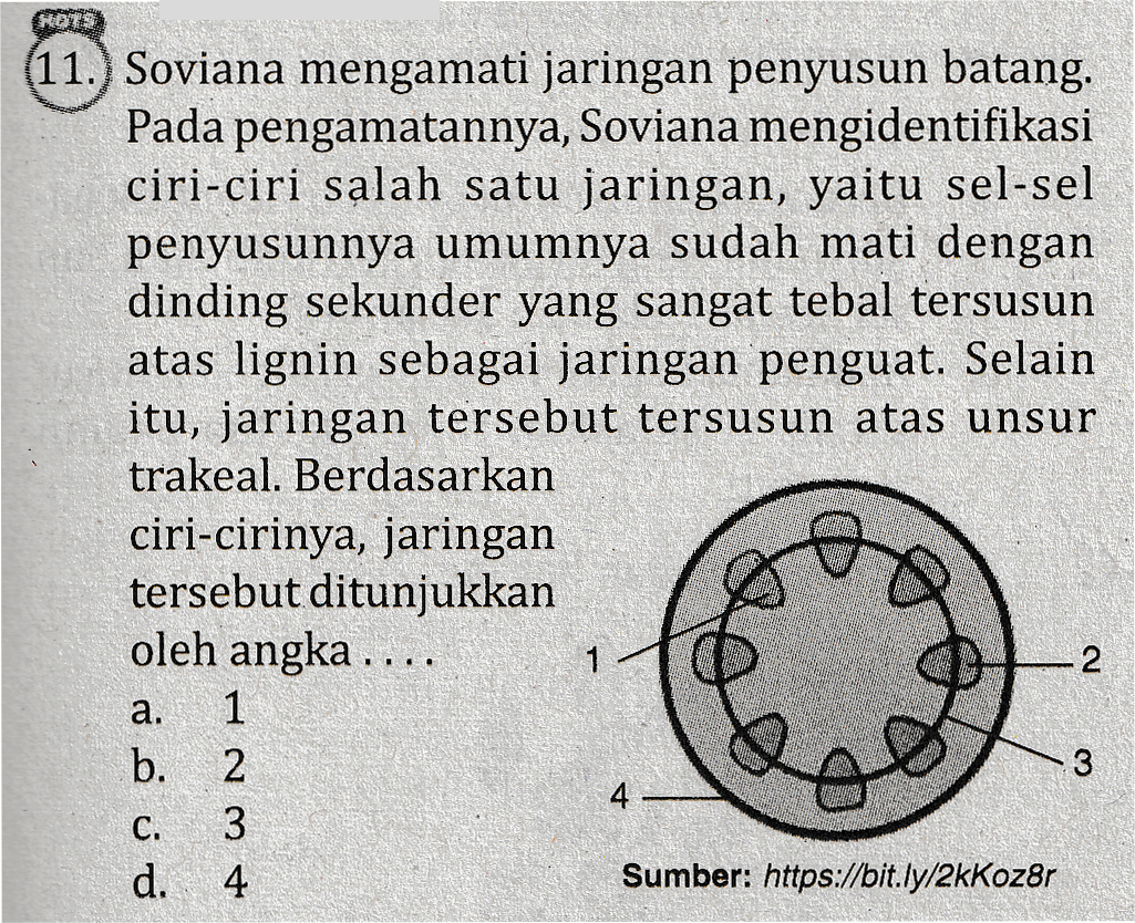 HOT (11.) Soviana mengamati jaringan penyusun batang. Pada pengamatannya, Soviana mengidentifikasi ciri-ciri salah satu jaringan, yaitu sel-sel penyusunnya umumnya sudah mati dengan dinding sekunder yang sangat tebal tersusun atas lignin sebagai jaringan penguat. Selain itu, jaringan tersebut tersusun atas unsur trakeal. Berdasarkan ciri-cirinya, jaringan tersebut ditunjukkan oleh angka .... 1 -2 1 b. 2 3 3 d. 4 Sumber: https://bit.ly/2kKoz8r 2 a. ܢ ܢ ܚ ܠܓ 4. C. 