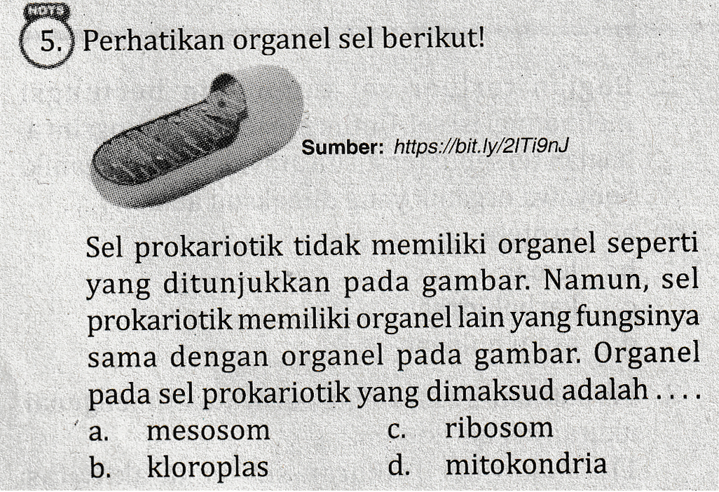 NOTS 5.) Perhatikan organel sel berikut! Sumber: https://bit.ly/2/Ti9nJ Sel prokariotik tidak memiliki organel seperti yang ditunjukkan pada gambar. Namun, sel prokariotik memiliki organel lain yang fungsinya sama dengan organel pada gambar. Organel pada sel prokariotik yang dimaksud adalah .... mesosom ribosom b. kloroplas d. mitokondria a. C. 