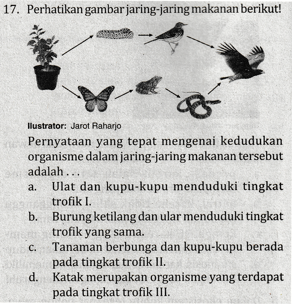 17. Perhatikan gambar jaring-jaring makanan berikut! a. llustrator: Jarot Raharjo Pernyataan yang tepat mengenai kedudukan organisme dalam jaring-jaring makanan tersebut adalah ... Ulat dan kupu-kupu menduduki tingkat trofik I. b. Burung ketilang dan ular menduduki tingkat trofik yang sama. C. Tanaman berbunga dan kupu-kupu berada pada tingkat trofik II. d. Katak merupakan organisme yang terdapat pada tingkat trofik III. 