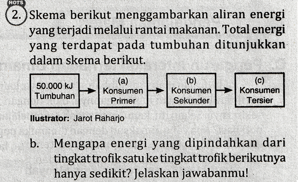 HOTS 2.) Skema berikut menggambarkan aliran energi yang terjadi melalui rantai makanan. Total energi yang terdapat pada tumbuhan ditunjukkan dalam skema berikut. 50.000 kJ Tumbuhan (a) Konsumen Primer (b) Konsumen Sekunder (c) Konsumen Tersier llustrator: Jarot Raharjo b. Mengapa energi yang dipindahkan dari tingkat trofik satu ke tingkat trofik berikutnya hanya sedikit? Jelaskan jawabanmu! 