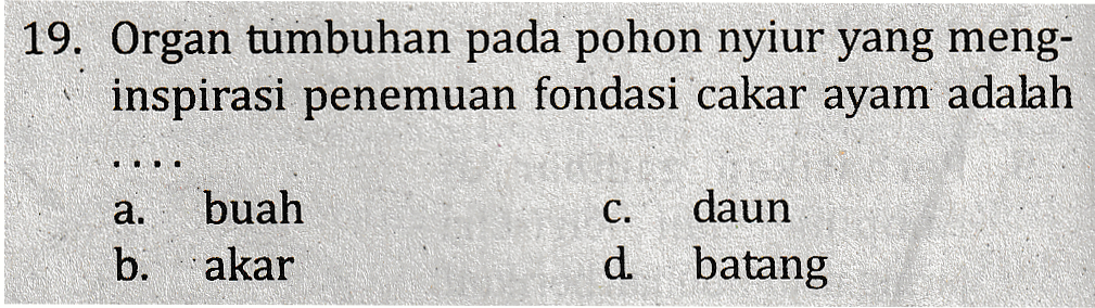 19. Organ tumbuhan pada pohon nyiur yang meng- inspirasi penemuan fondasi cakar ayam adalah a. buah b. akar C. daun d batang 