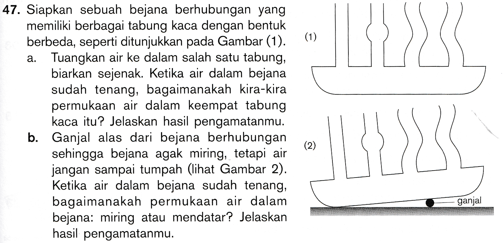 (1) 47. Siapkan sebuah bejana berhubungan yang memiliki berbagai tabung kaca dengan bentuk berbeda, seperti ditunjukkan pada Gambar (1). a. Tuangkan air ke dalam salah satu tabung, biarkan sejenak. Ketika air dalam bejana sudah tenang, bagaimanakah kira-kira permukaan air dalam keempat tabung kaca itu? Jelaskan hasil pengamatanmu. b. Ganjal alas dari bejana berhubungan sehingga bejana agak miring, tetapi air jangan sampai tumpah (lihat Gambar 2). Ketika air dalam bejana sudah tenang, bagaimanakah permukaan air dalam bejana: miring atau mendatar? Jelaskan hasil pengamatanmu. (2) ganjal 