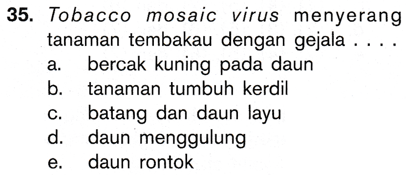 a. 35. Tobacco mosaic virus menyerang tanaman tembakau dengan gejala ... bercak kuning pada daun b. tanaman tumbuh kerdil batang dan daun layu d. daun menggulung daun rontok C. e. 