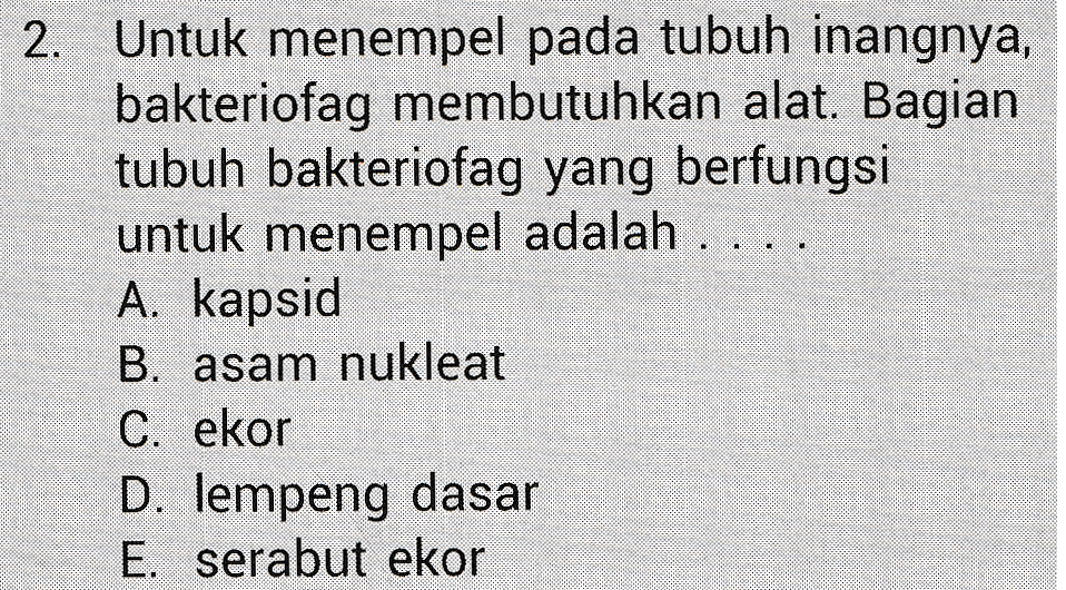 2. Untuk menempel pada tubuh inangnya, bakteriofag membutuhkan alat. Bagian tubuh bakteriofag yang berfungsi untuk menempel adalah ... A. kapsid B. asam nukleat C. ekor D. lempeng dasar E. serabut ekor 