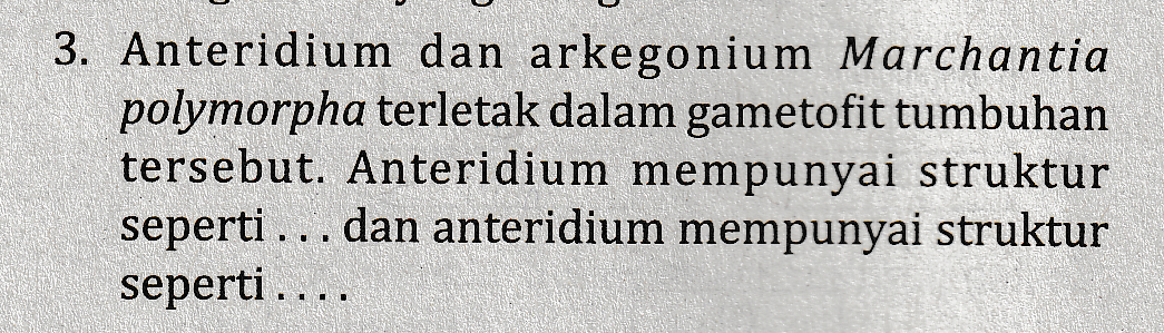 3. Anteridium dan arkegonium Marchantia polymorpha terletak dalam gametofit tumbuhan tersebut. Anteridium mempunyai struktur seperti ... dan anteridium mempunyai struktur seperti .... 