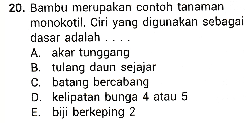 20. Bambu merupakan contoh tanaman monokotil. Ciri yang digunakan sebagai dasar adalah ... A. akar tunggang B. tulang daun sejajar C. batang bercabang D. kelipatan bunga 4 atau 5 E. biji berkeping 2 