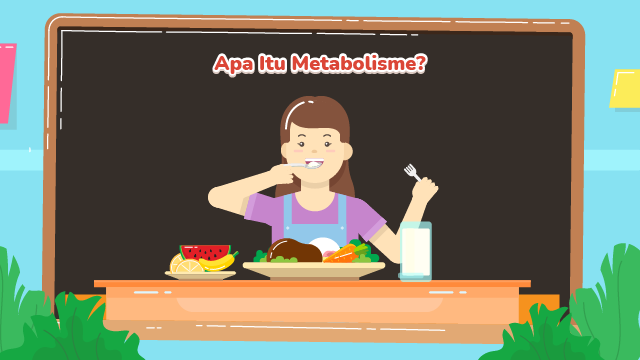 Enzim Dan Metabolisme Sel Tanya Mipi